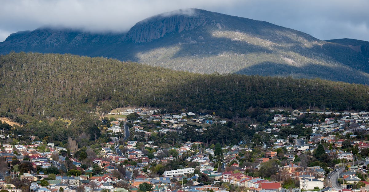 Evaluating the Importance of Lighting in Kitchen Designs