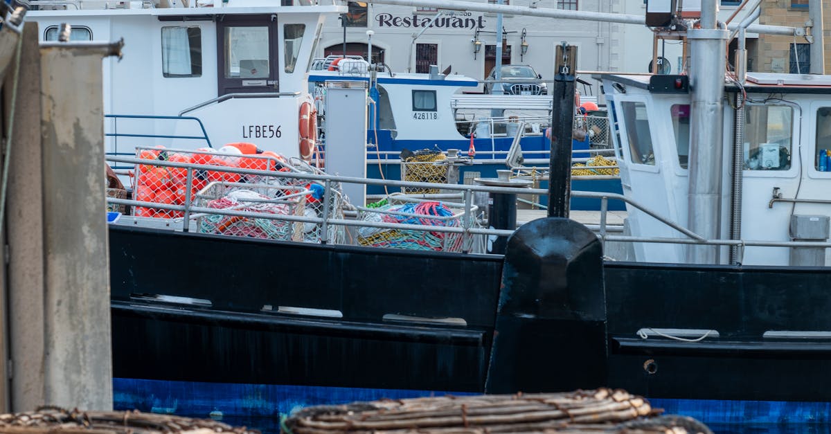 Selecting the Perfect Timber for Your Kitchen Cabinets