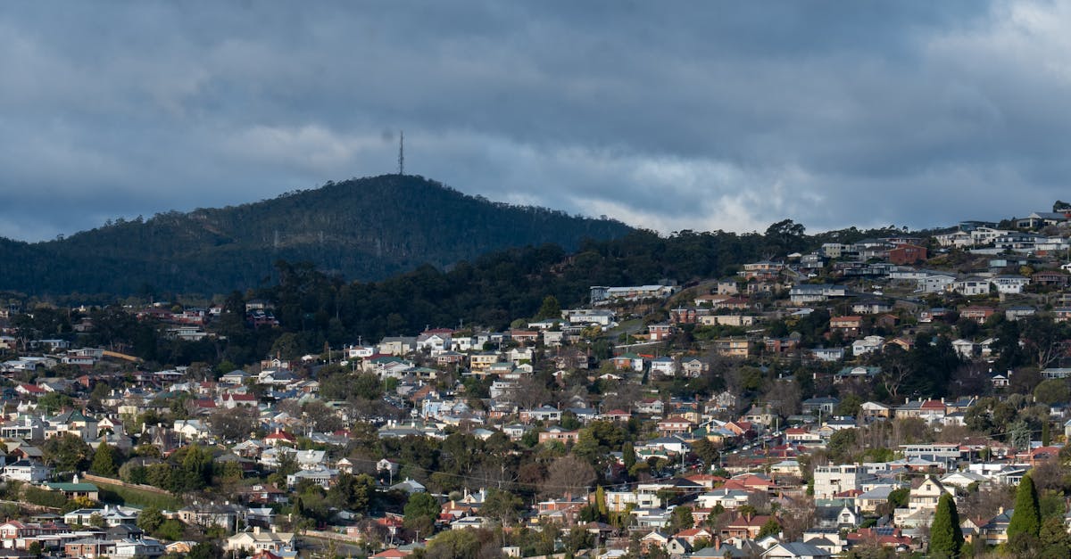 The Role of Financial Advisors in Kitchen Renovation Planning